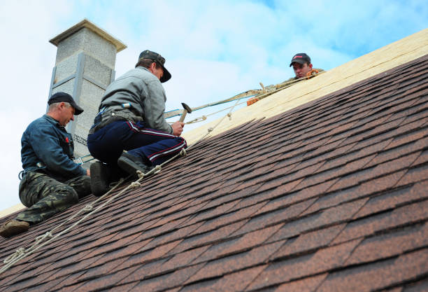 Best Residential Roof Replacement  in Falls City, NE