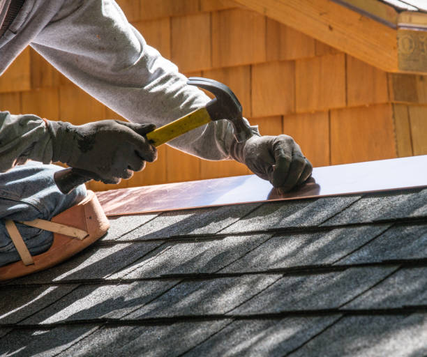 Best Metal Roofing Contractor  in Falls City, NE